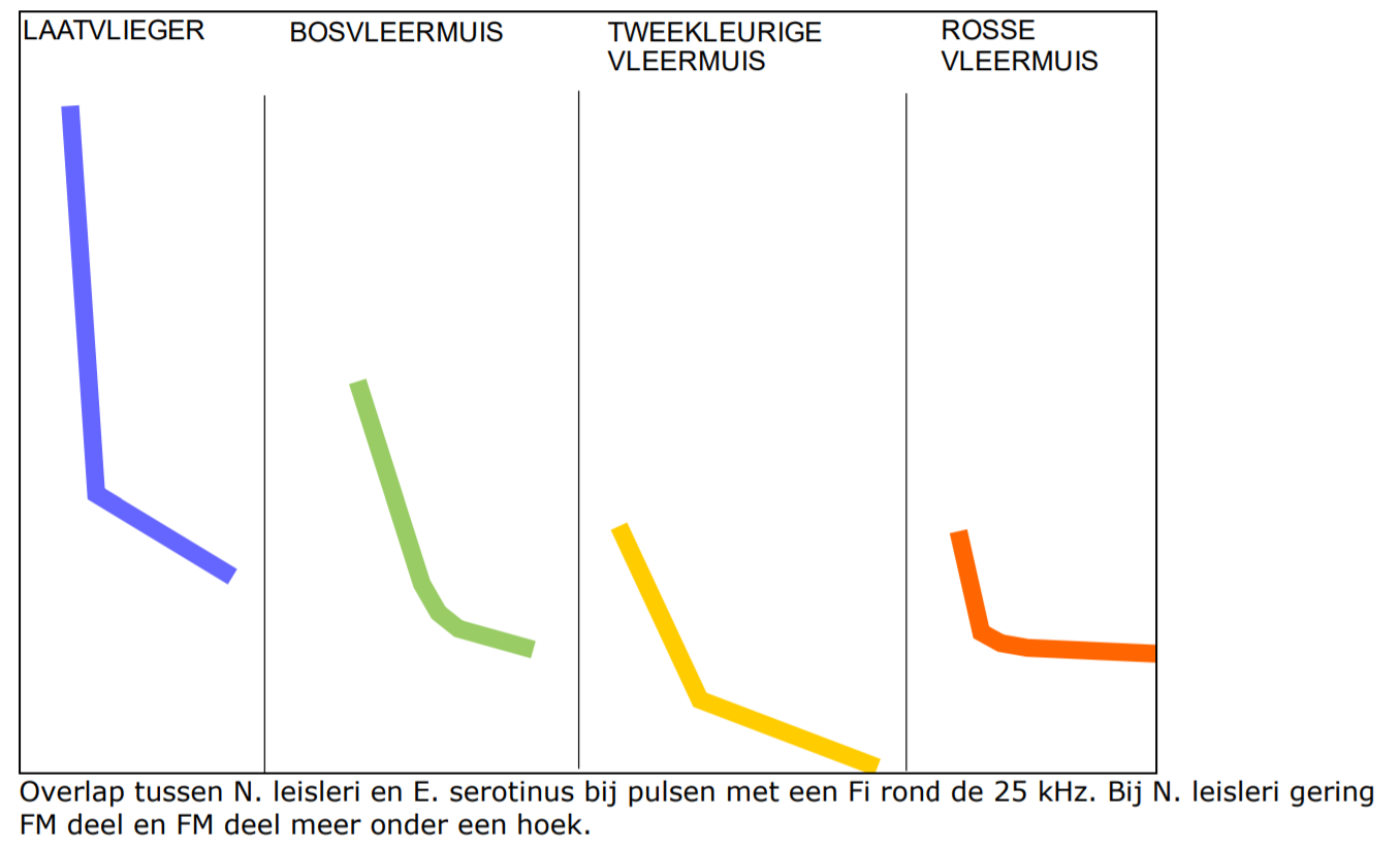 overzicht 4 soort