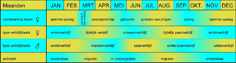 jaarcyclus in tabelvorm aj